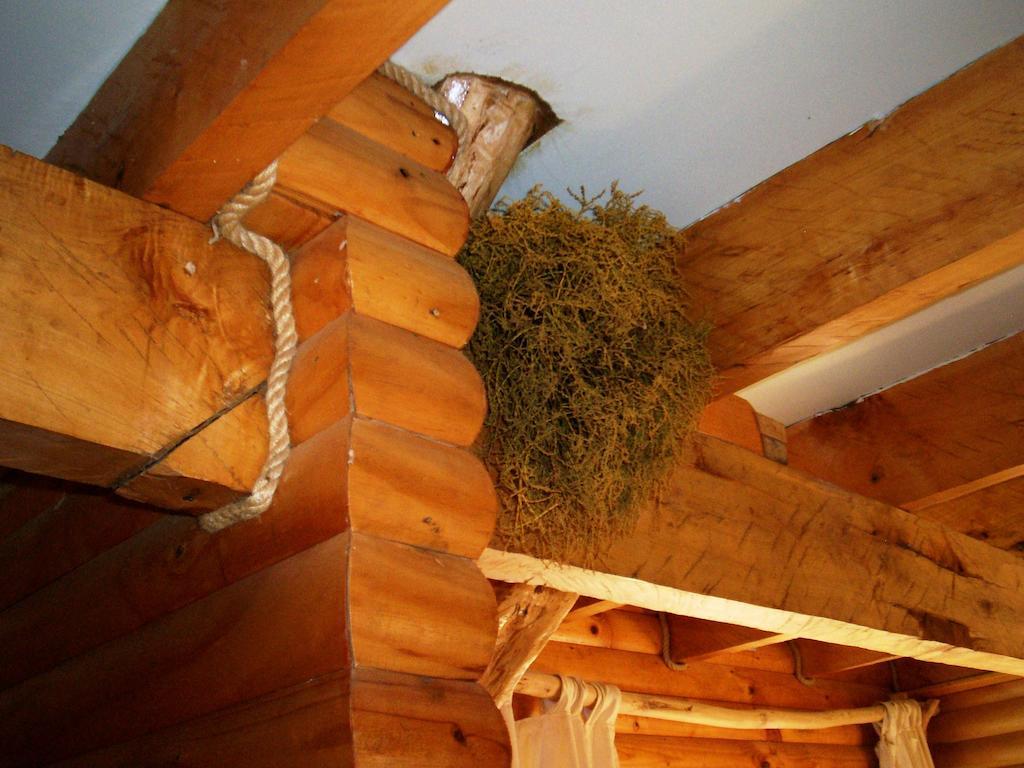 Lodge De Montana Lago Monreal Ел Бланко Екстериор снимка
